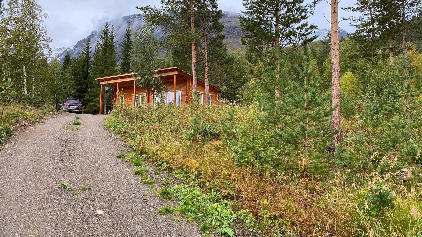 Private bilder. Galleribilde