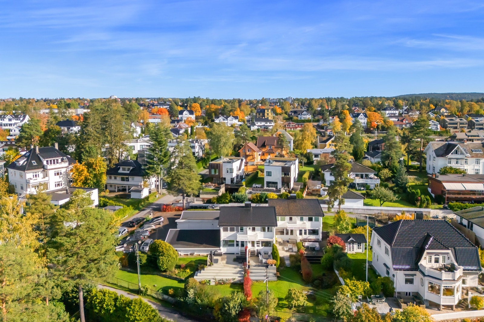 Høydefoto av nærområdet Galleribilde
