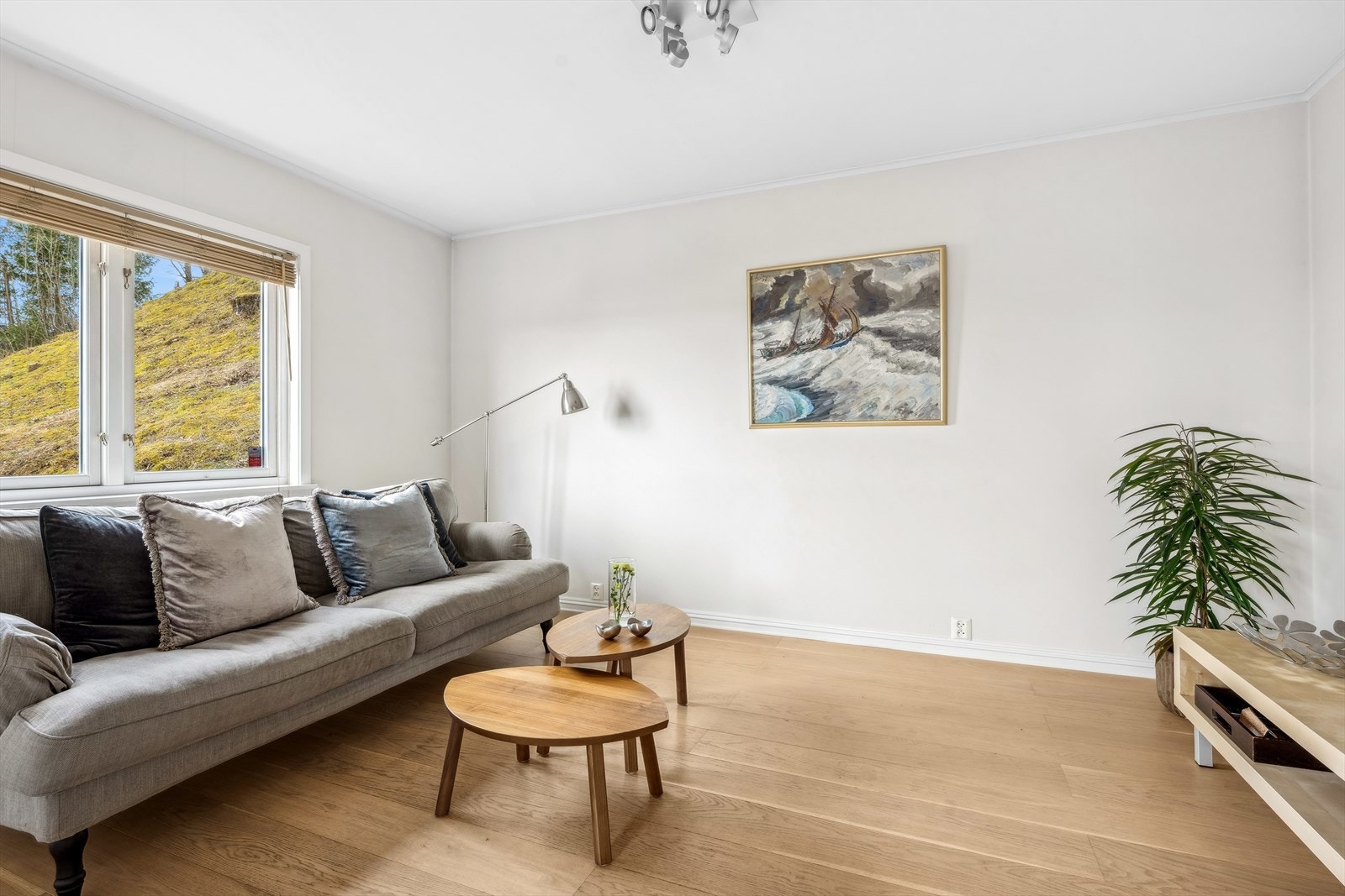 Separat TV-stue Galleribilde