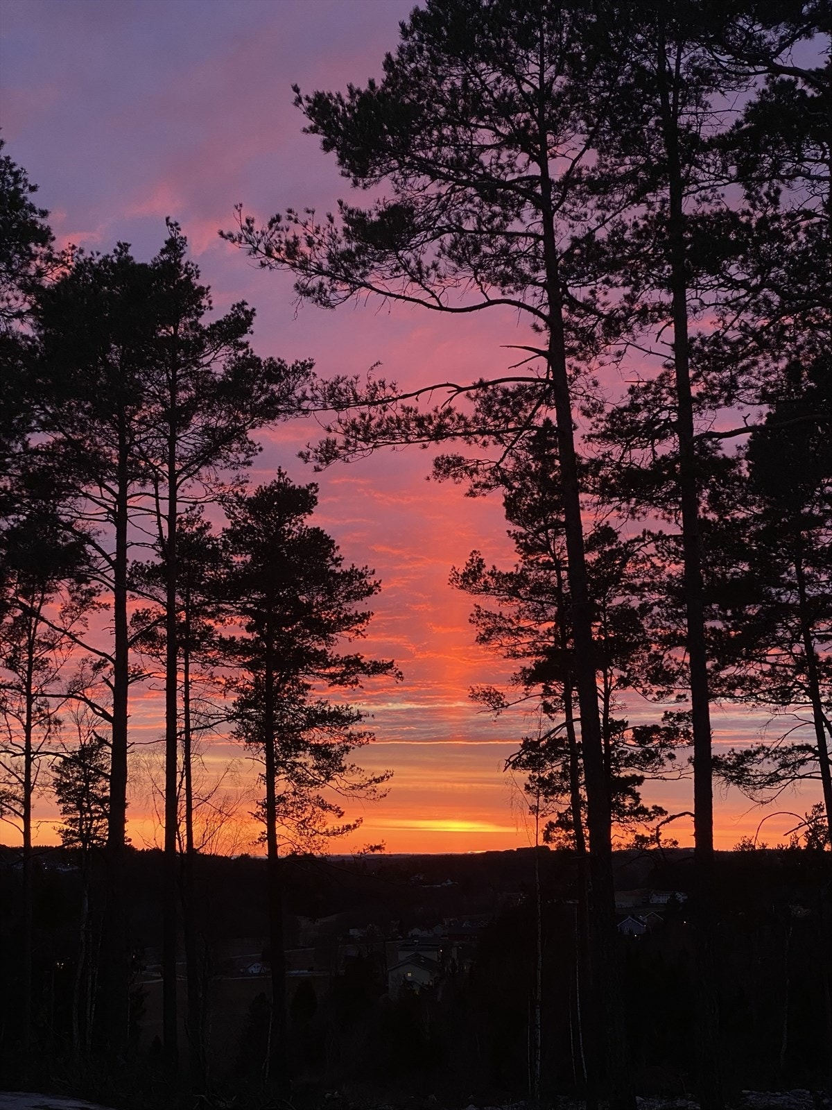 Selgers private bilde Galleribilde