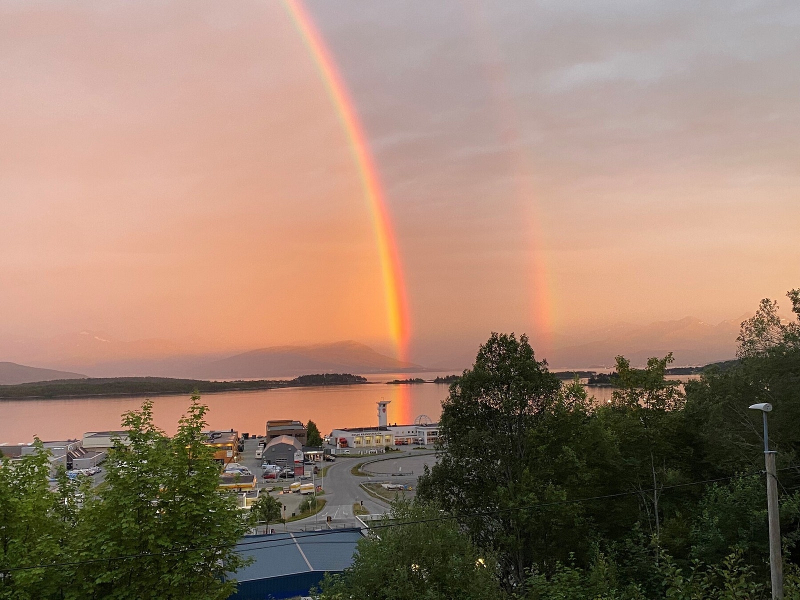 Selgers bilde Galleribilde