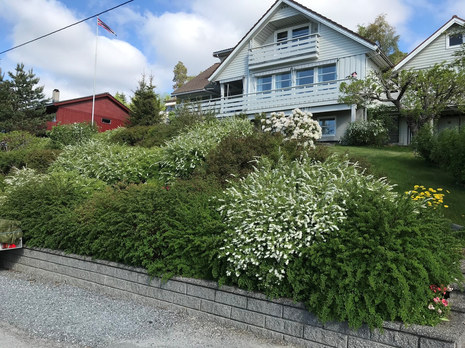 Selgers bilde Galleribilde