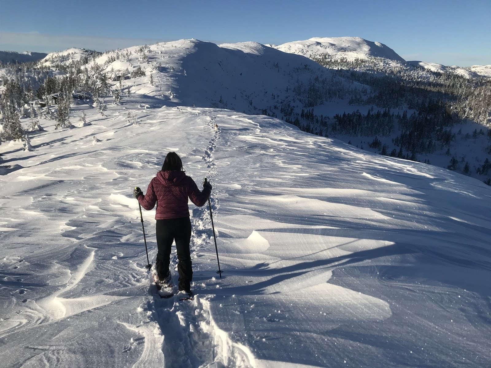 Trugeturer i nærområdet kan anbefales til både store og små. (Selgers egne bilder) Galleribilde