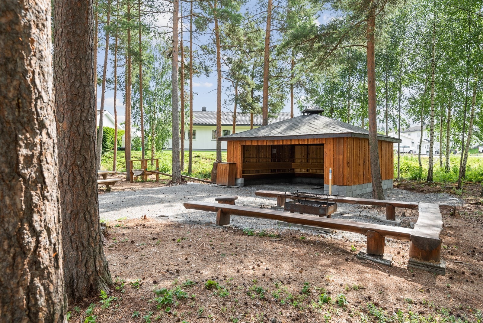 Romedalsparken er tilrettelagt for aktiviteter gjennom hele året - sommer som vinter. Galleribilde