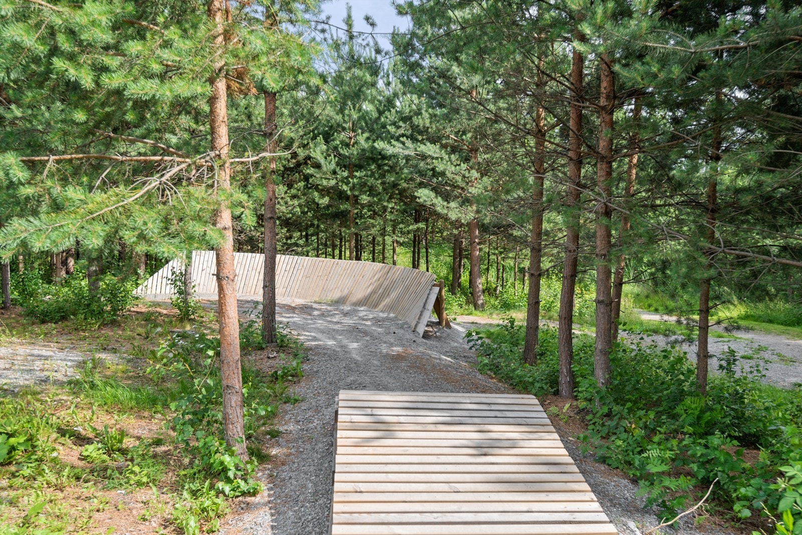 Romedalsparken. Galleribilde