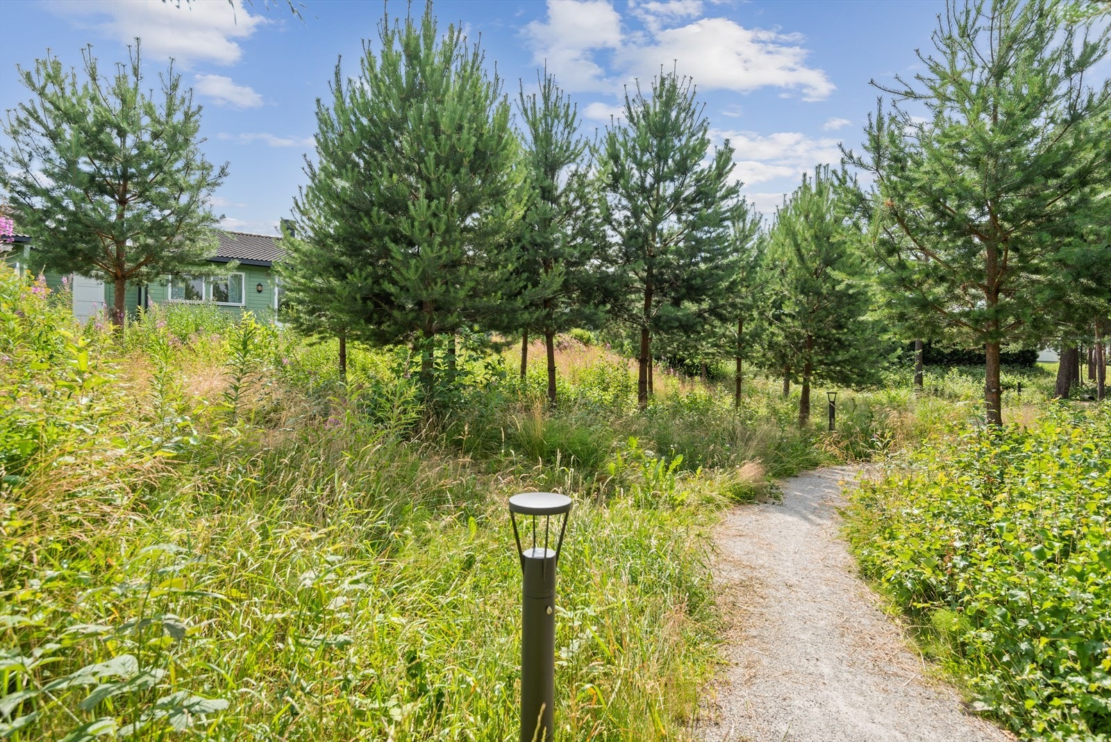 Romedalsparken. Galleribilde