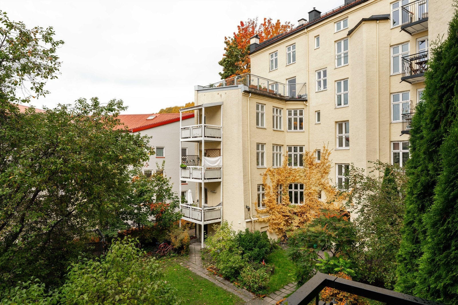 Utsikt over bakgården. Galleribilde