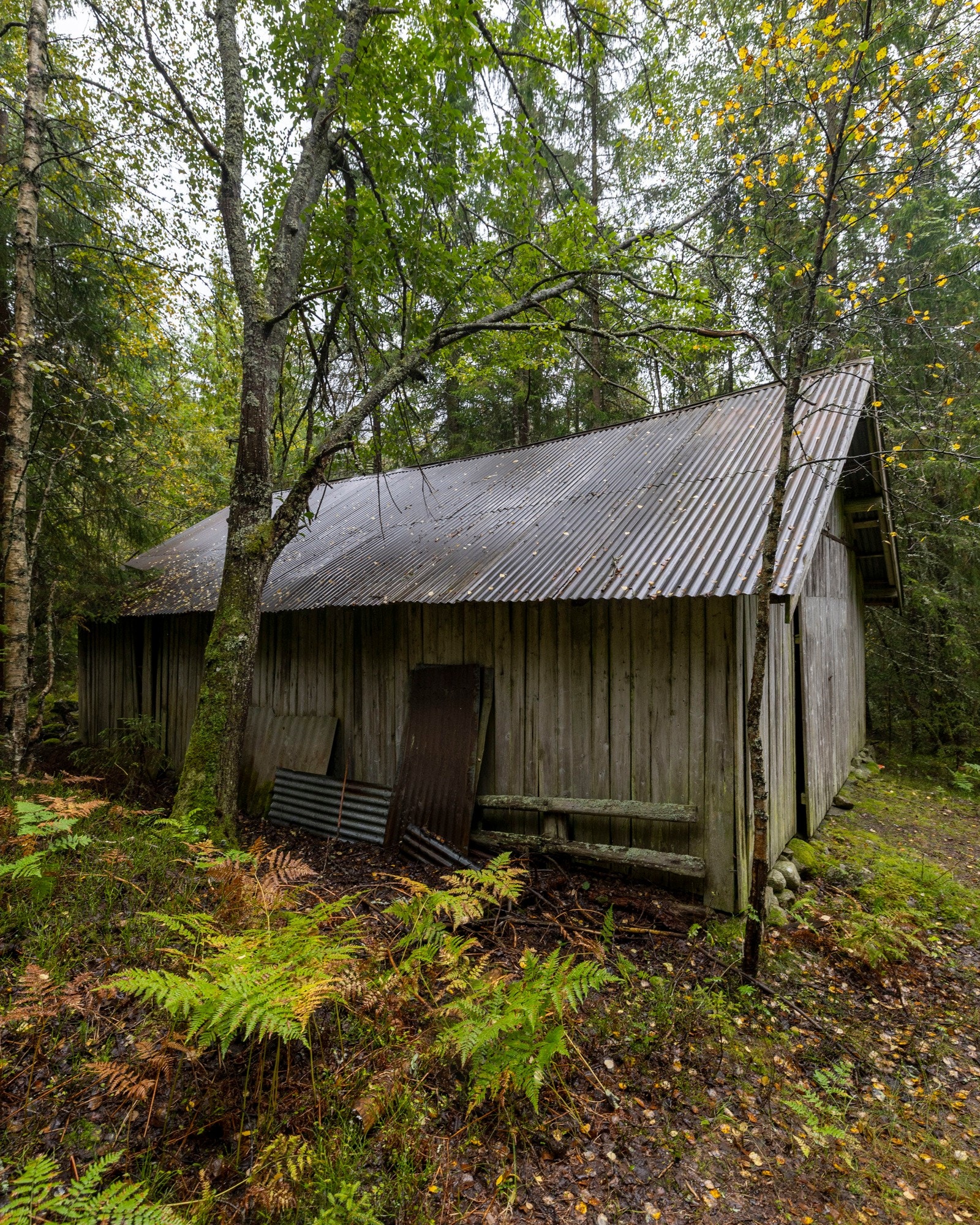 Redskapshus 2 Galleribilde