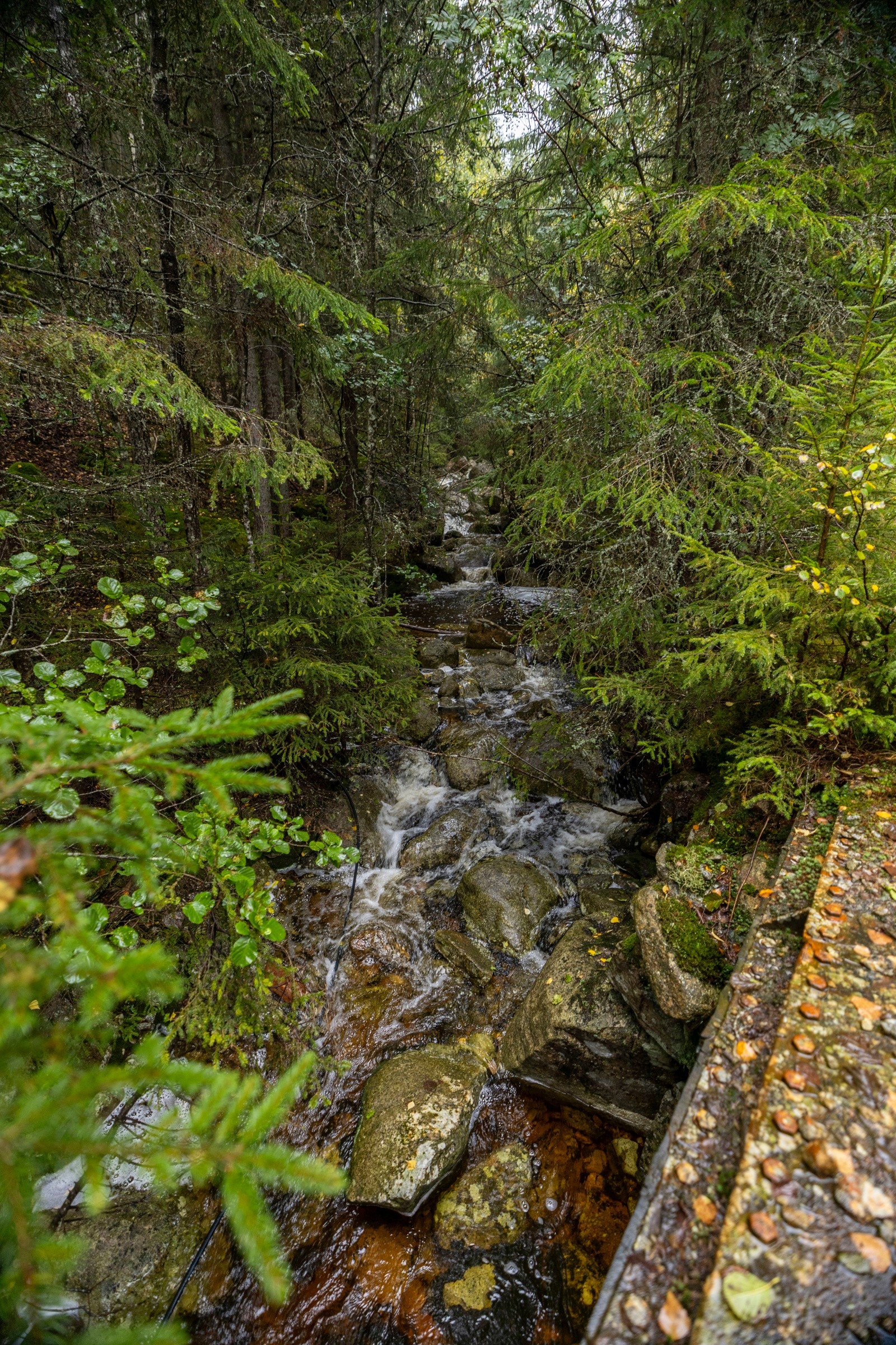Eiendommen ligger i et naturskjønt område Galleribilde