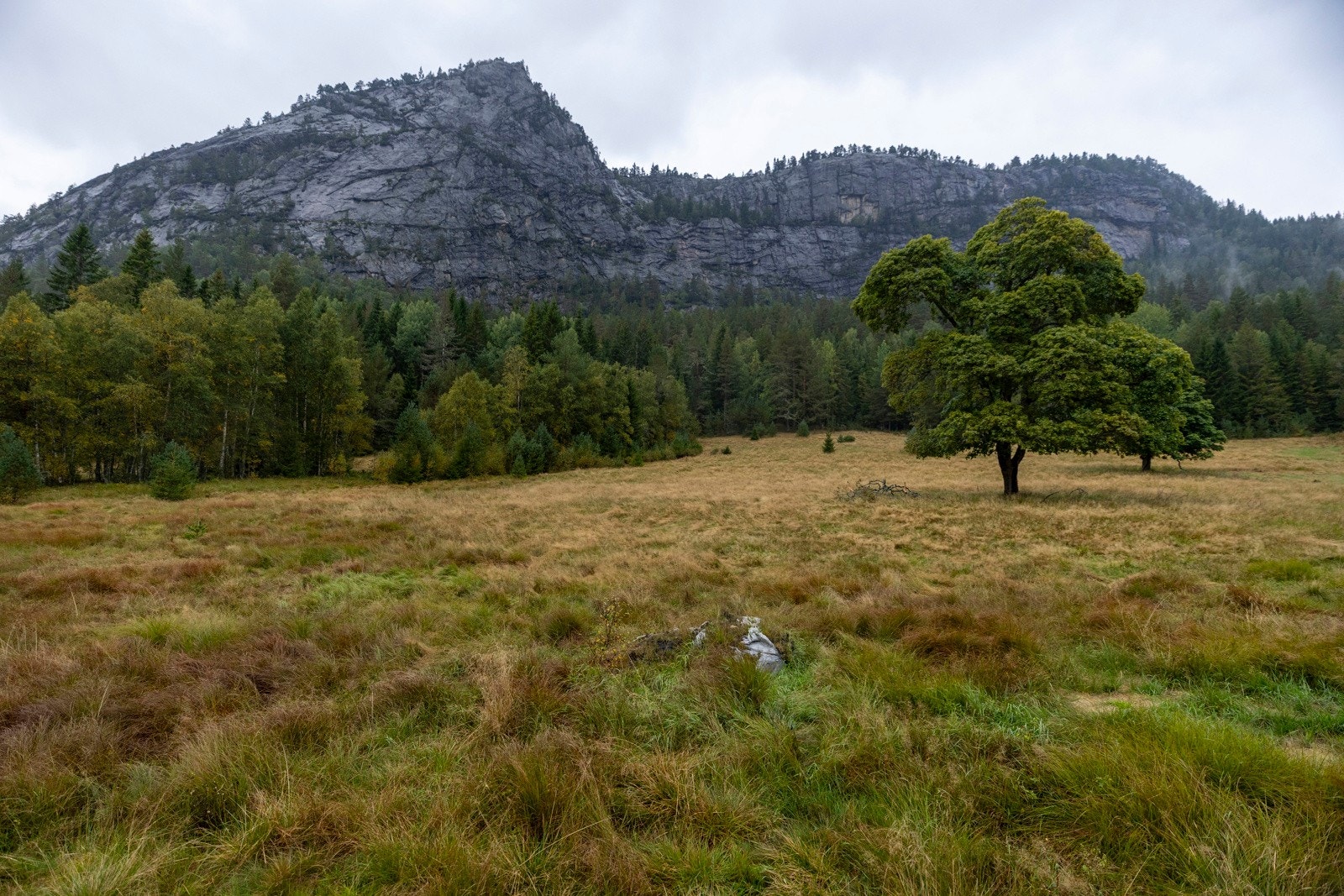 Dyrka mark rundt tunet Galleribilde