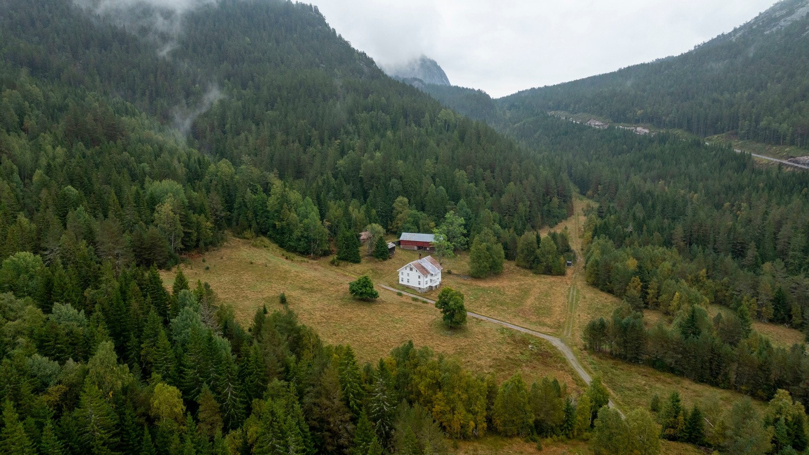 Eiendommen har gode jaktressurser på storvilt og småvilt Galleribilde
