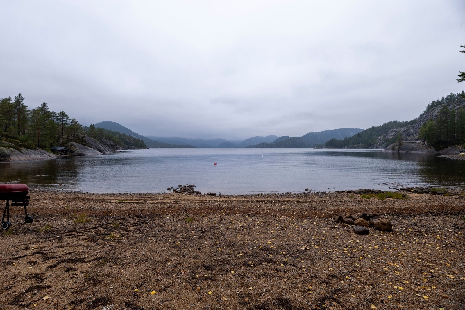 Miljø-Ronmviki Galleribilde