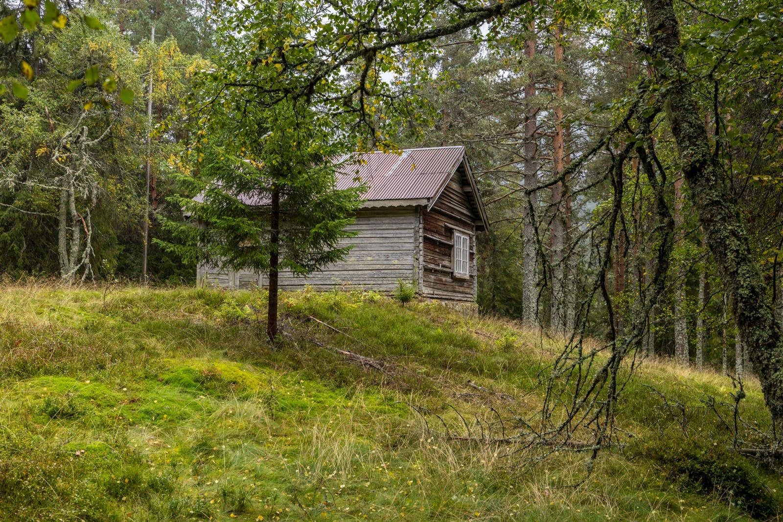 Husmannsplass Galleribilde