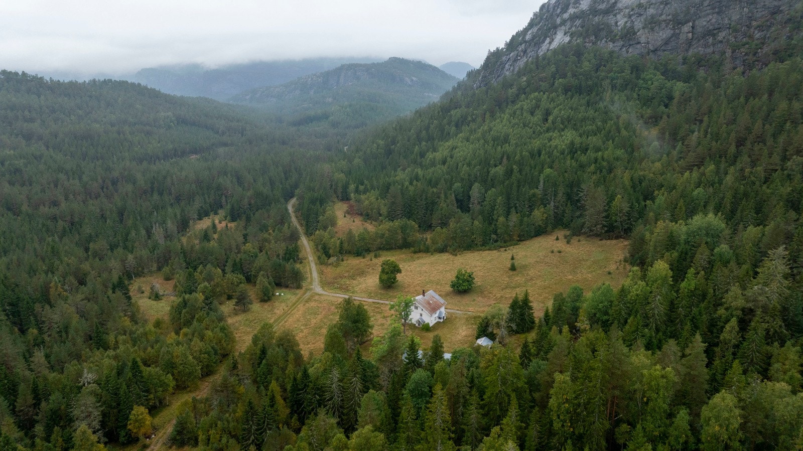 Eiendommen har meget gode skogressurser og takstmann har beregnet et engangsuttak av tømmer på ca. 11.000 m3 Galleribilde