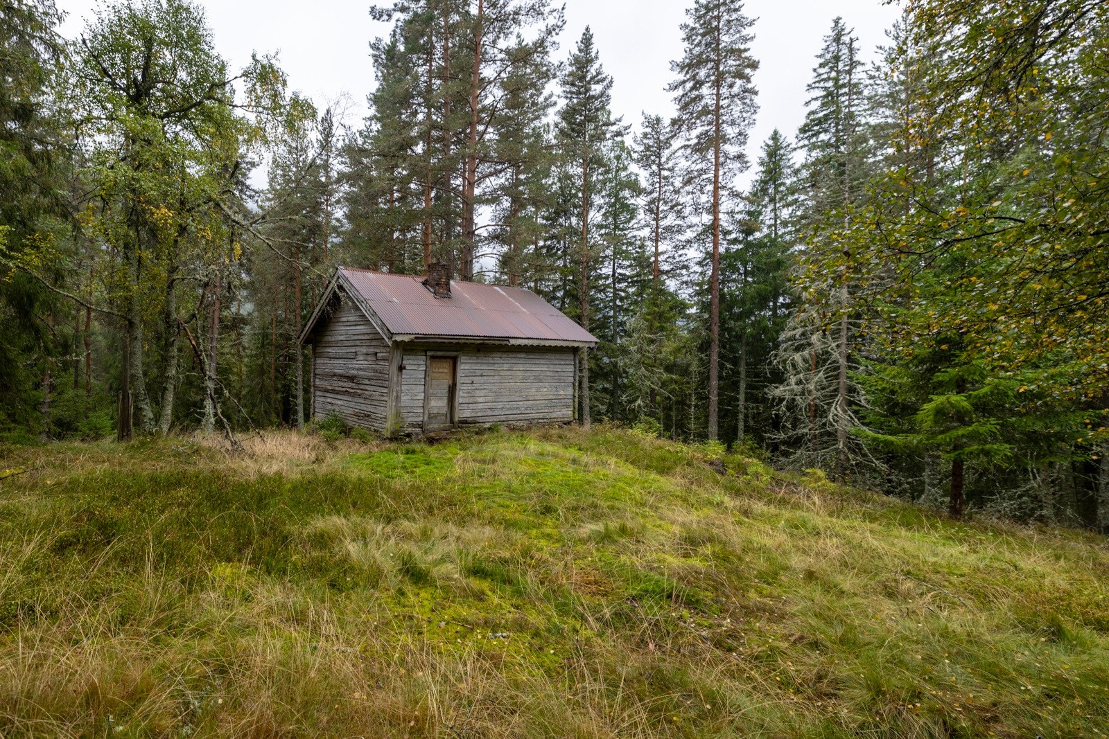 På husmannsplassen er det også betydelig vedlikeholdsbehov Galleribilde