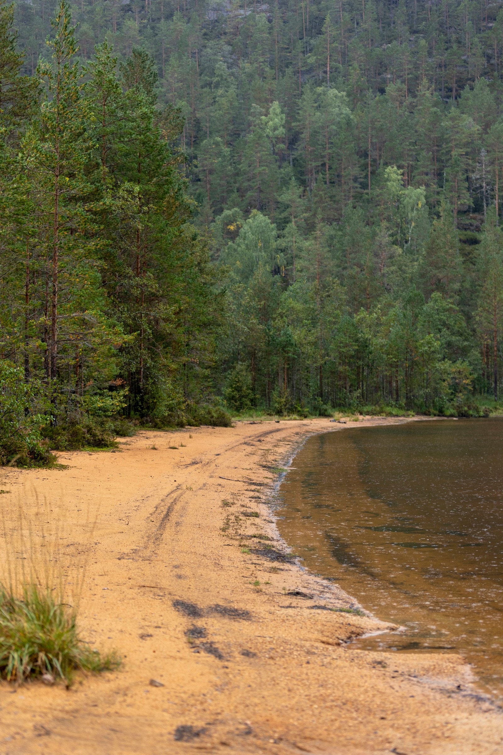 Stranda på Dåstjønn Galleribilde