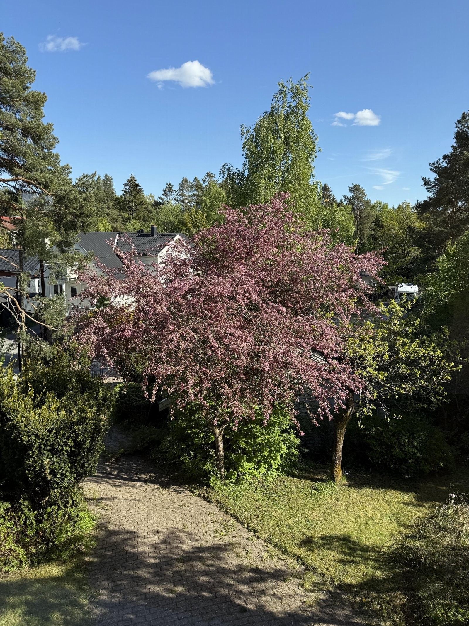 Hyggelig utsikt fra stuevindu. Galleribilde