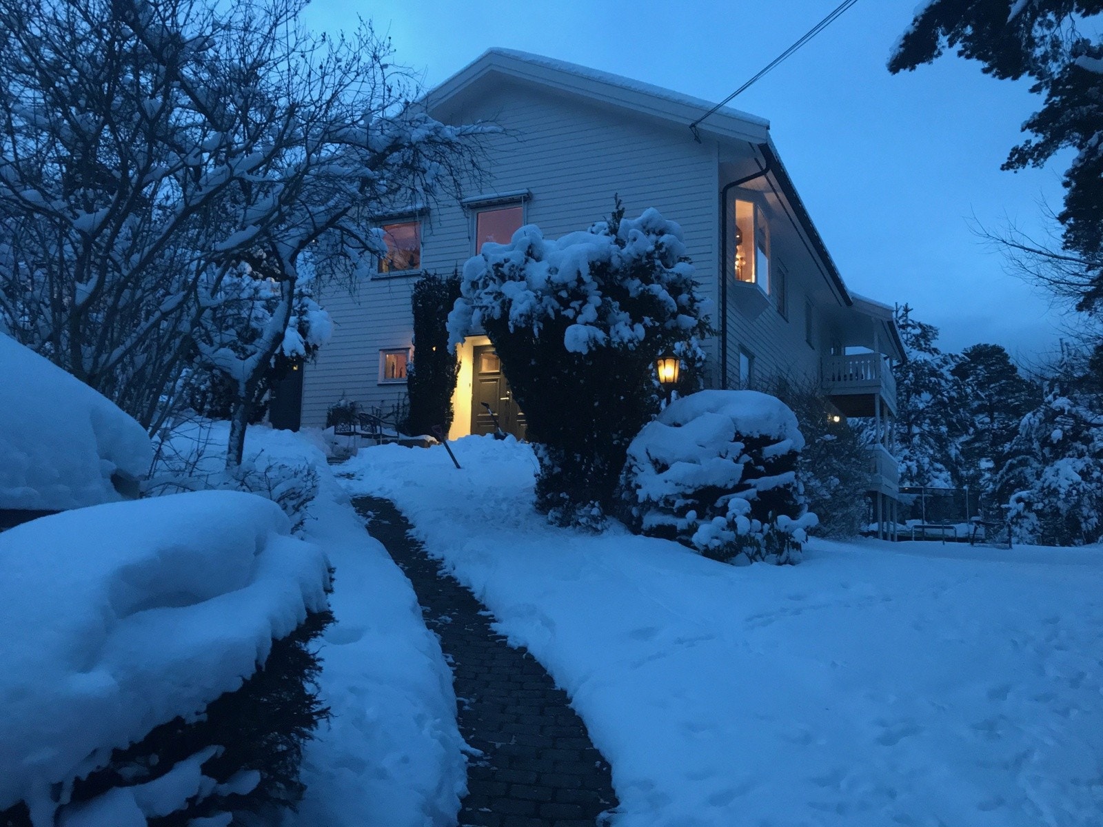 Bilde tatt på vinterstid av selger. Galleribilde