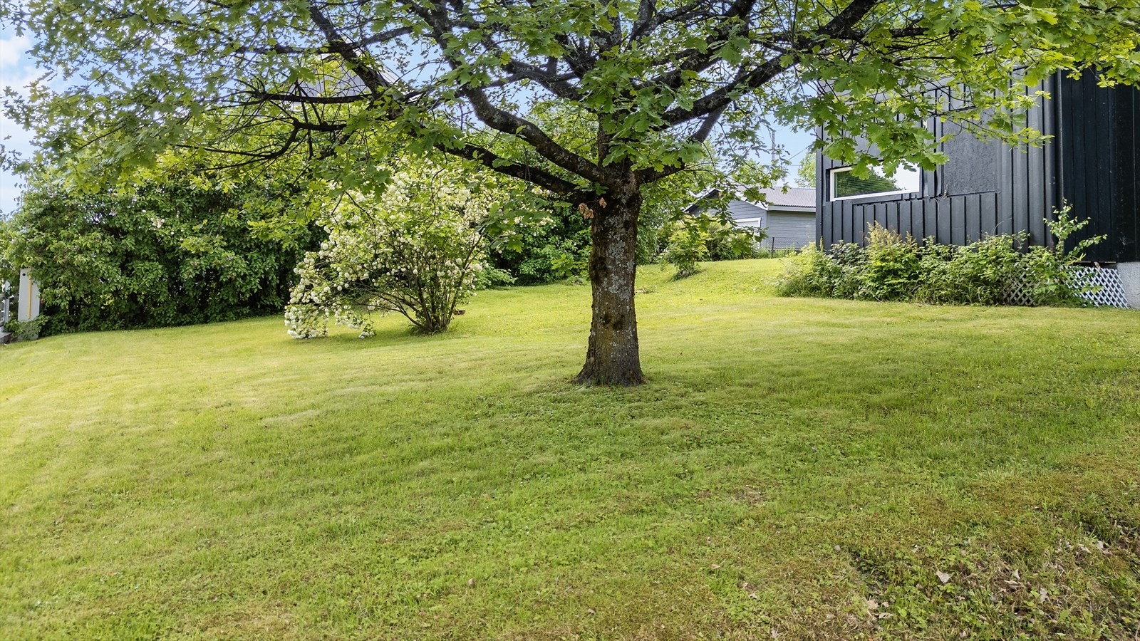 God plass for utendørsaktiviteter. Galleribilde