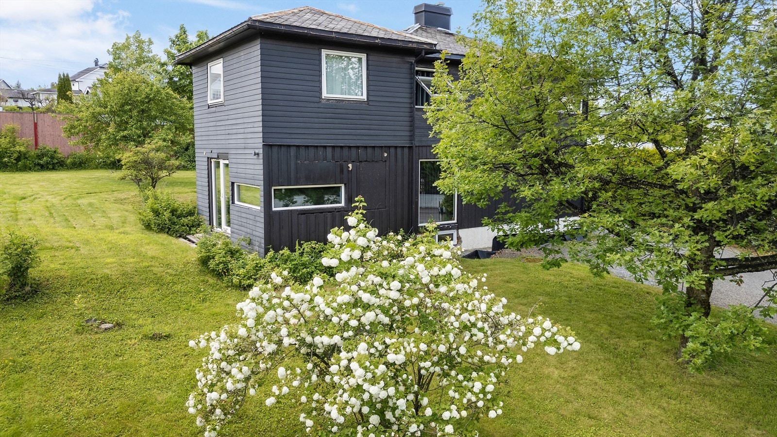 Tomt med plen og beplantning. Galleribilde