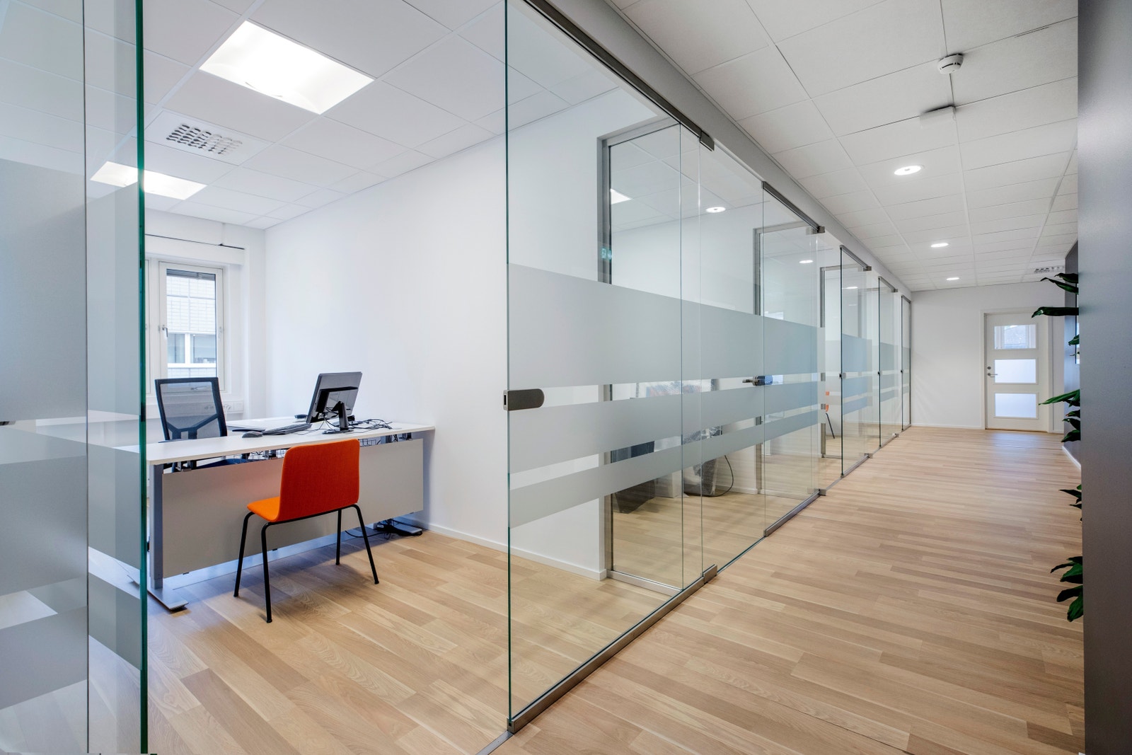 Store lyse cellekontorer Galleribilde