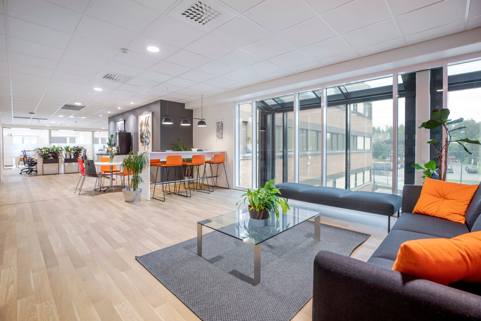 Lyse sosiale soner Galleribilde