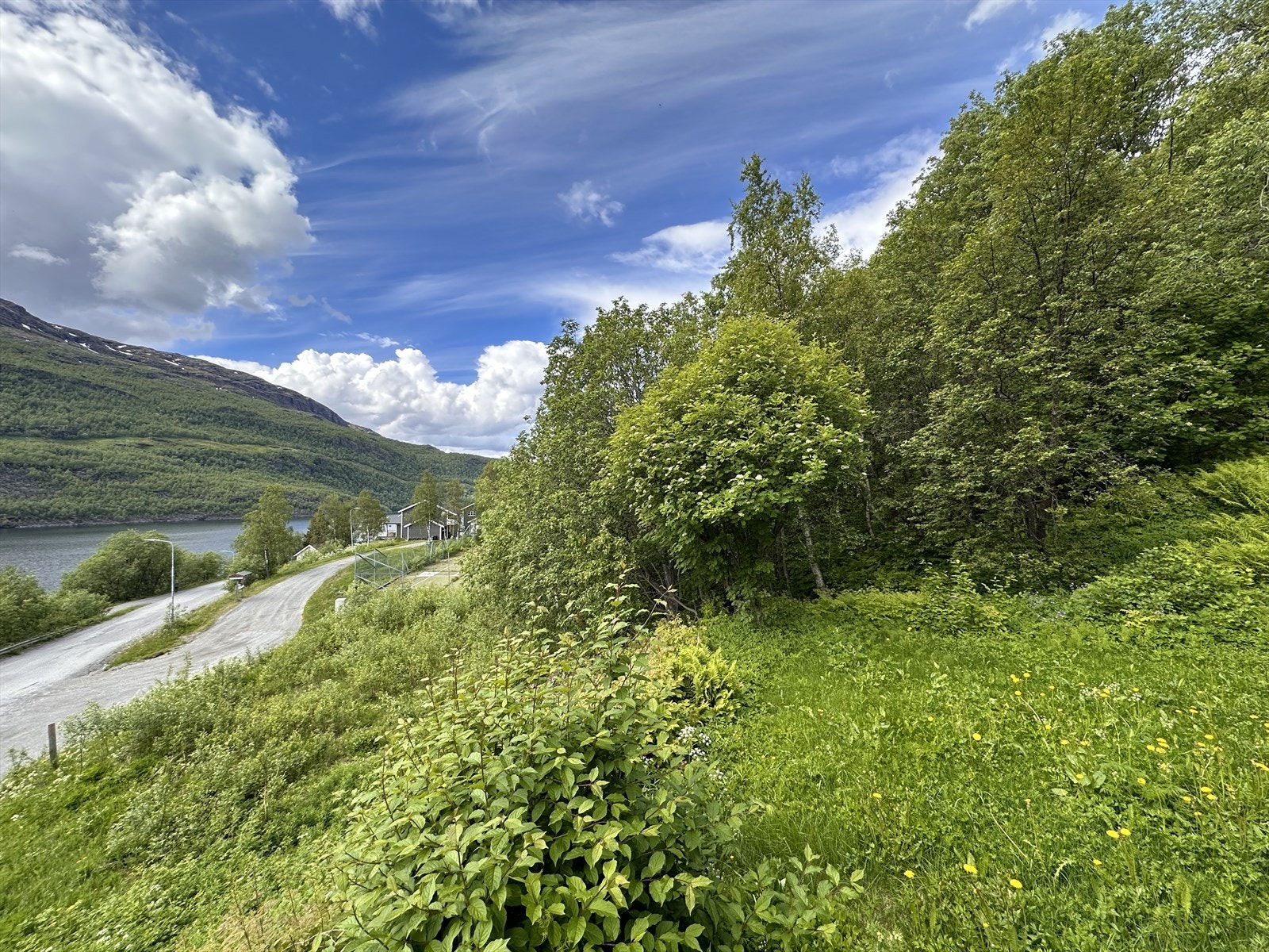 Landskap Galleribilde