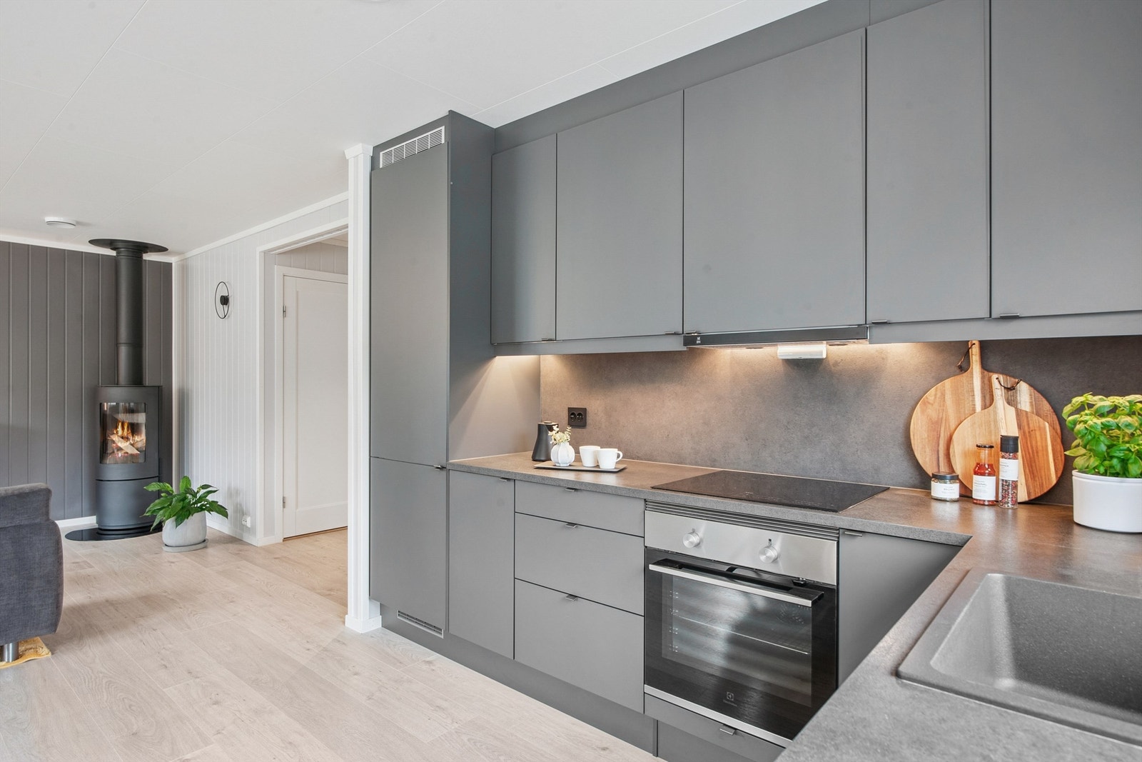 Kjøkkenet er utstyrt med komfyrvakt og balansert ventilasjon med avtrekkshette. Galleribilde