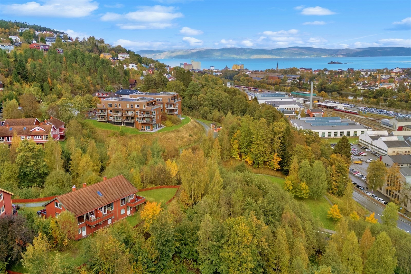 Dronebilde av nærområdet. Galleribilde