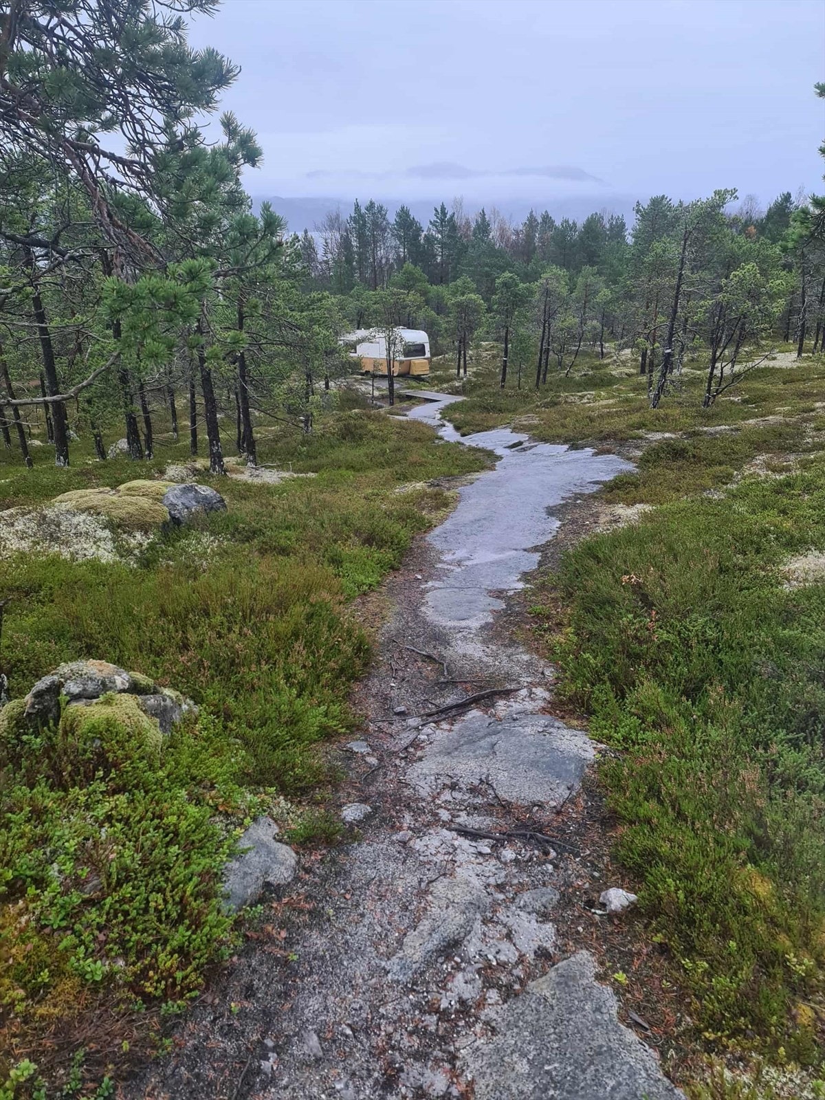 Sti ned fra hytten mot parkeringsplassen Galleribilde