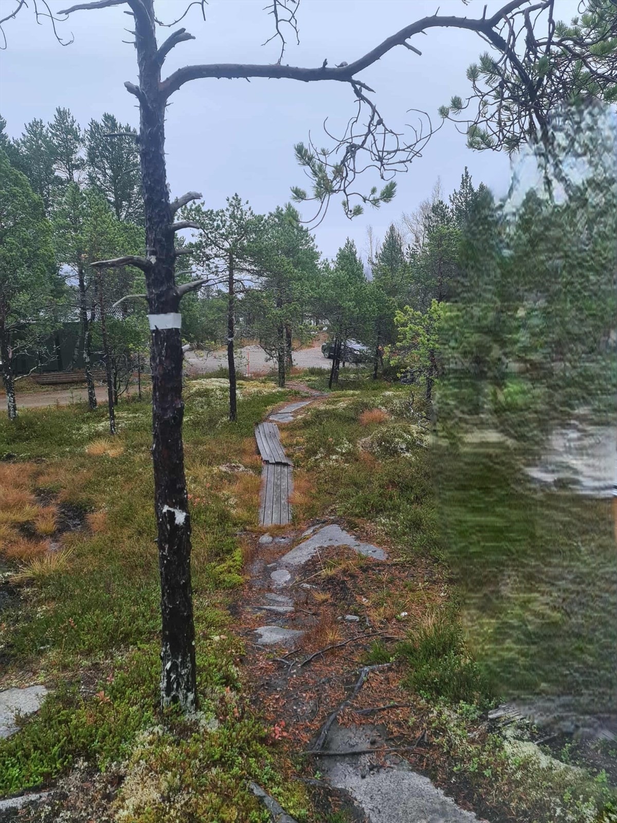 Sti fra parkeringsplassen opp mot hytten Galleribilde