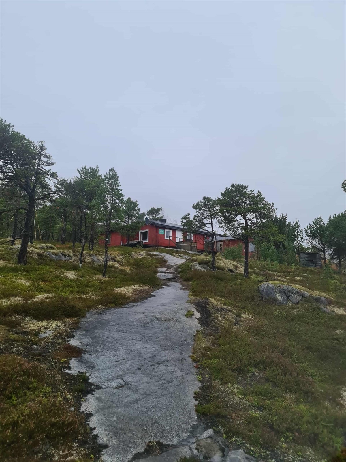 Sti opp mot hytten Galleribilde