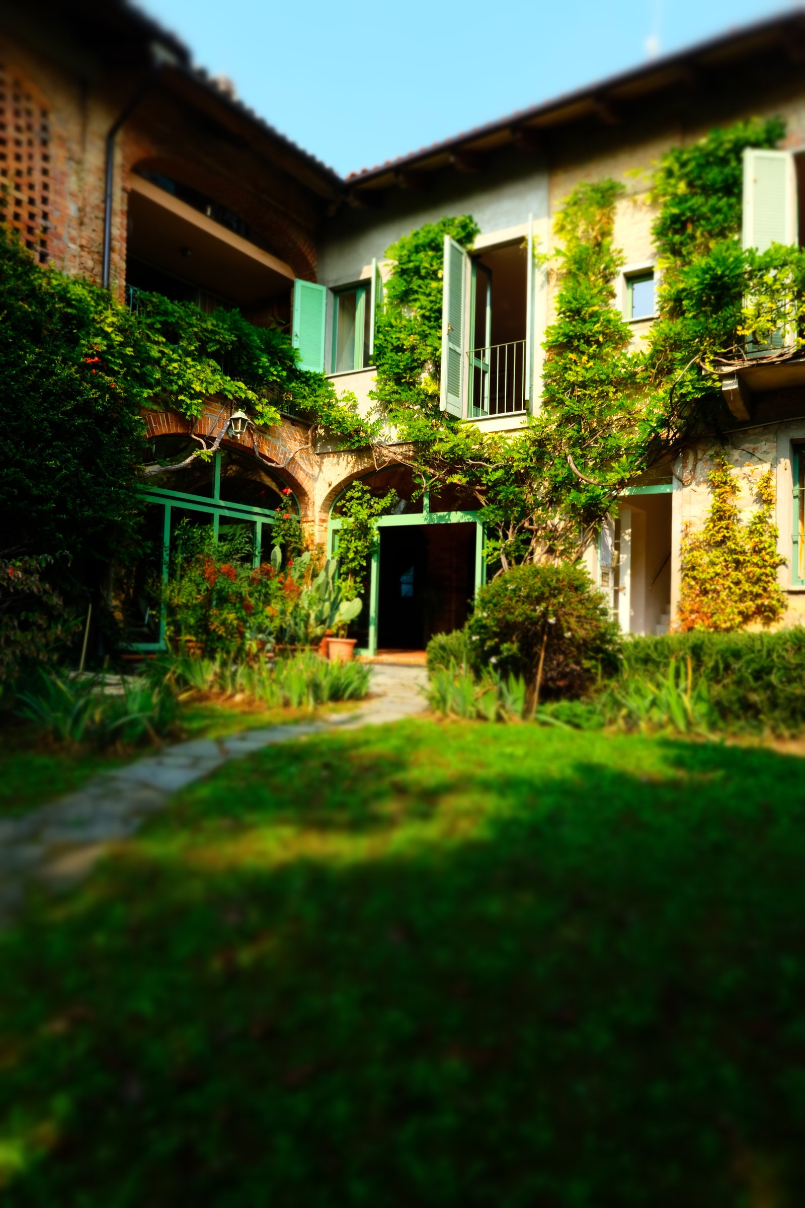 Sett fra hagen Galleribilde