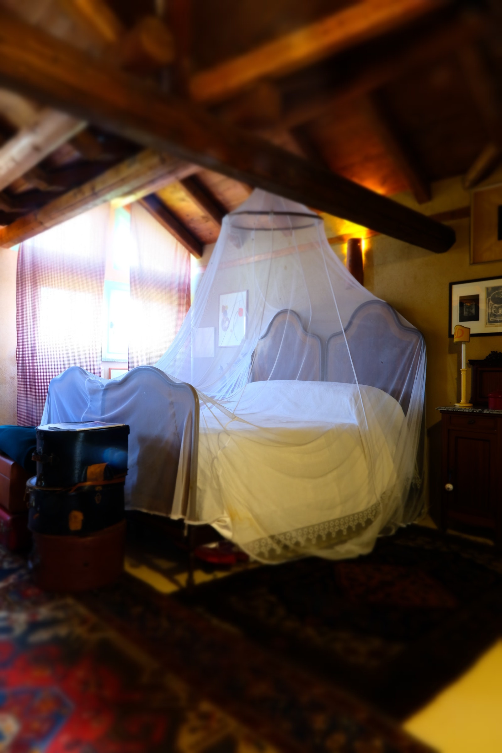 Foto fra øverste del av nyere del. Galleribilde