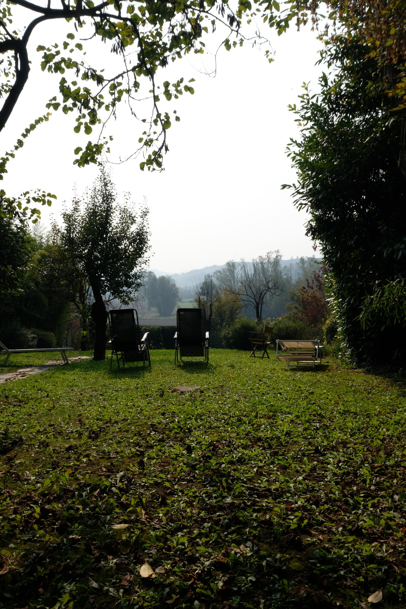 Hage er på hele 14 000 m2 Galleribilde