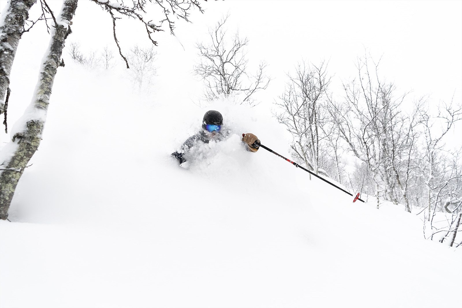 Avslutt skidagen med offpiste gjennom "Gummiskogen" tilbake til Tuv. Galleribilde