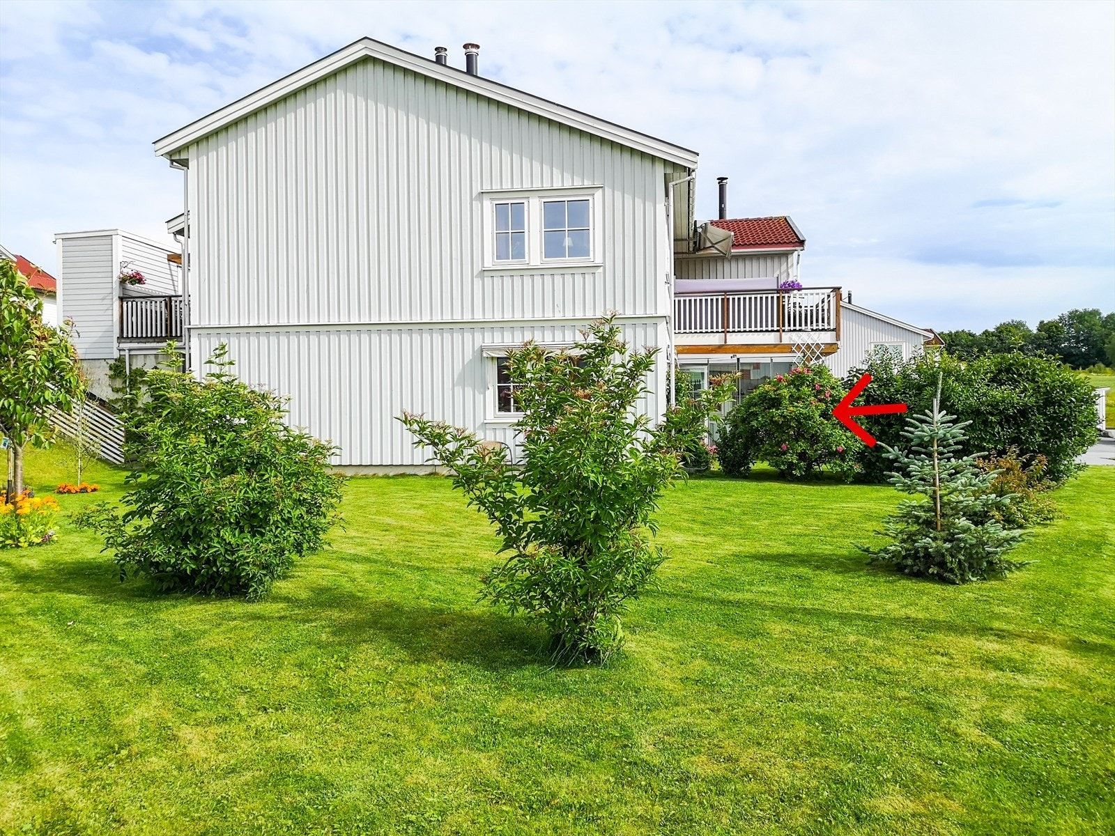 Selgers private bilde. Nydelig tomt som er opparbeidet med gressplen, div prydbusker og blomsterbed. Galleribilde