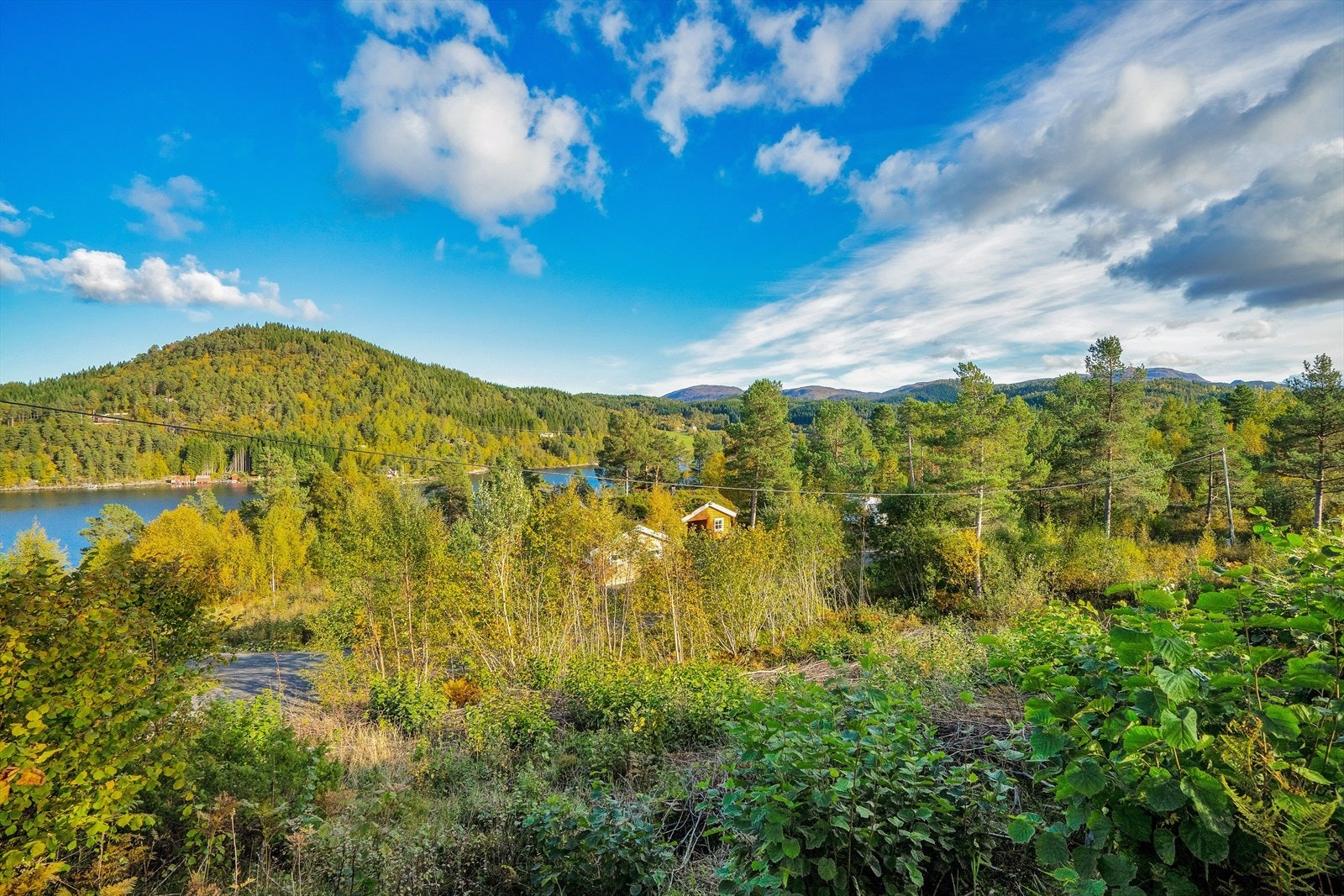 Idylliske Einset Galleribilde
