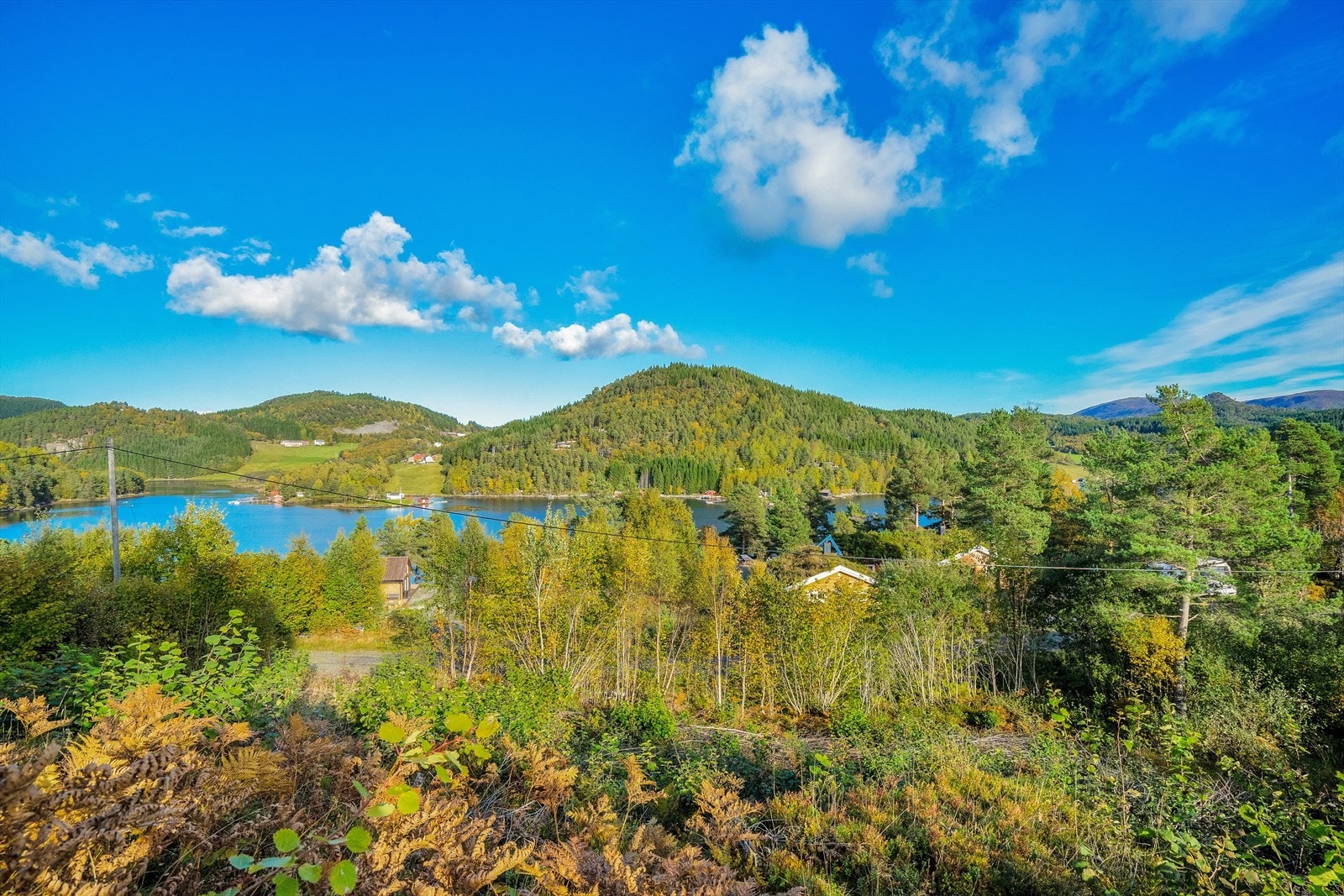 Idylliske Einset Galleribilde