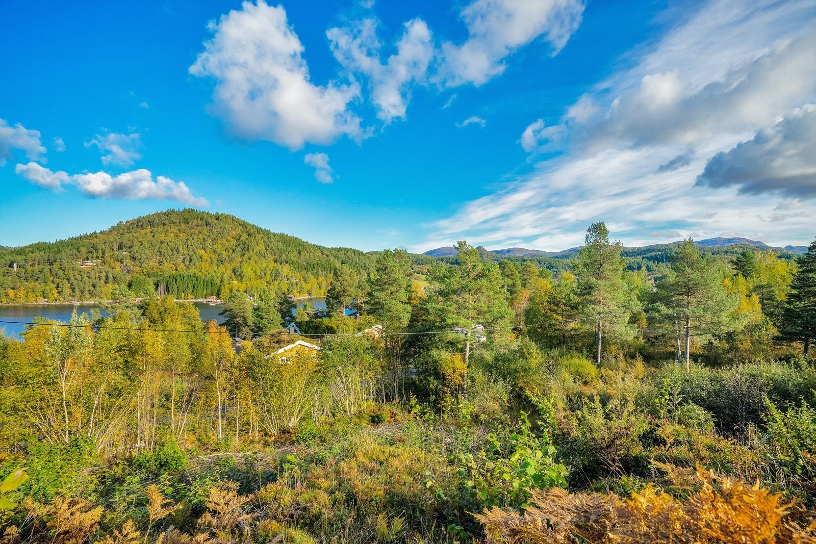 Idylliske Einset Galleribilde