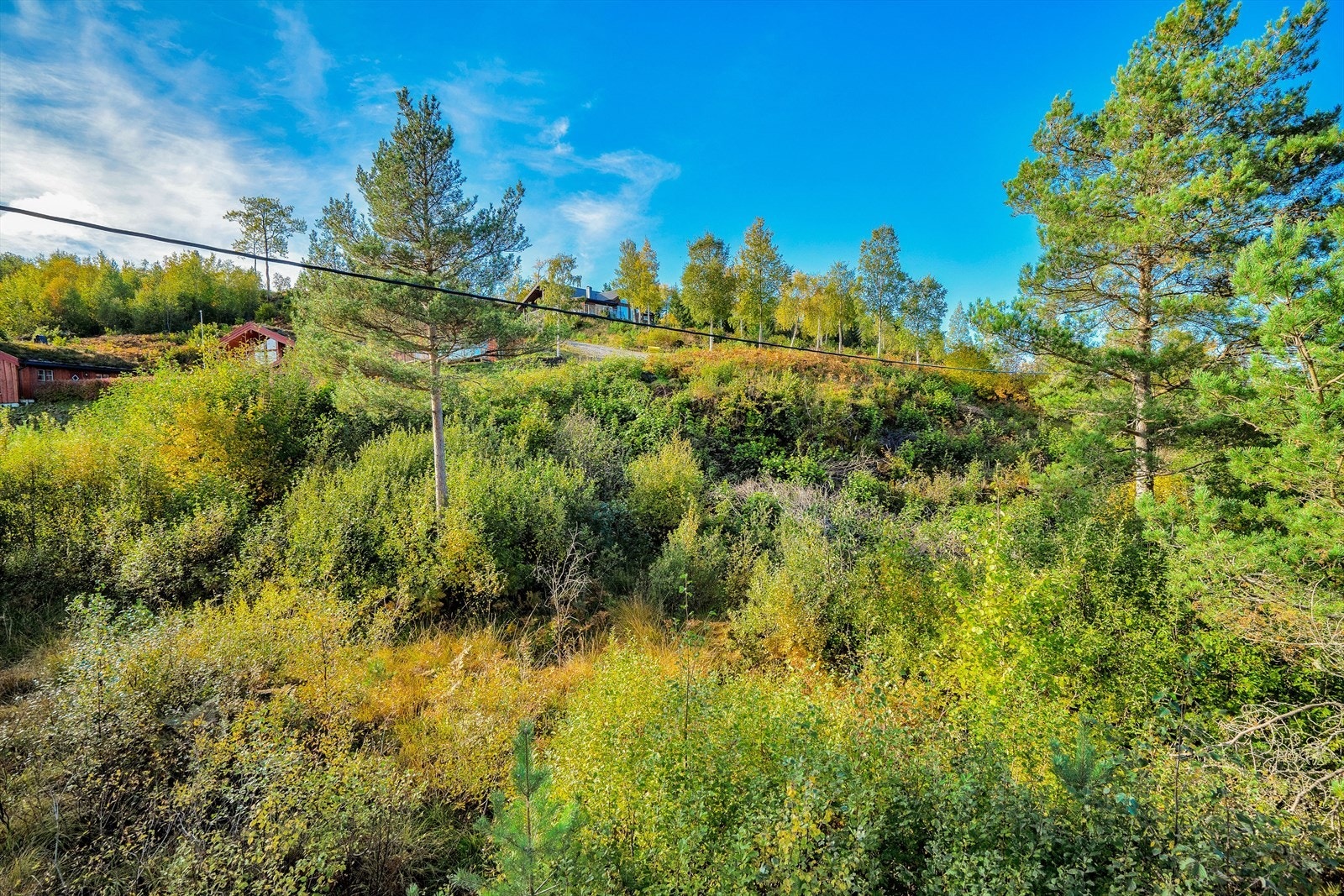 Idylliske Einset Galleribilde