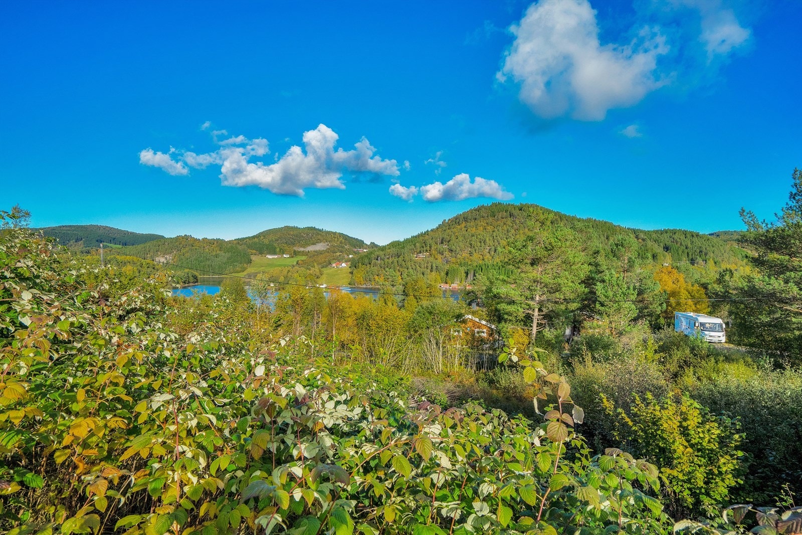 Idylliske Einset Galleribilde