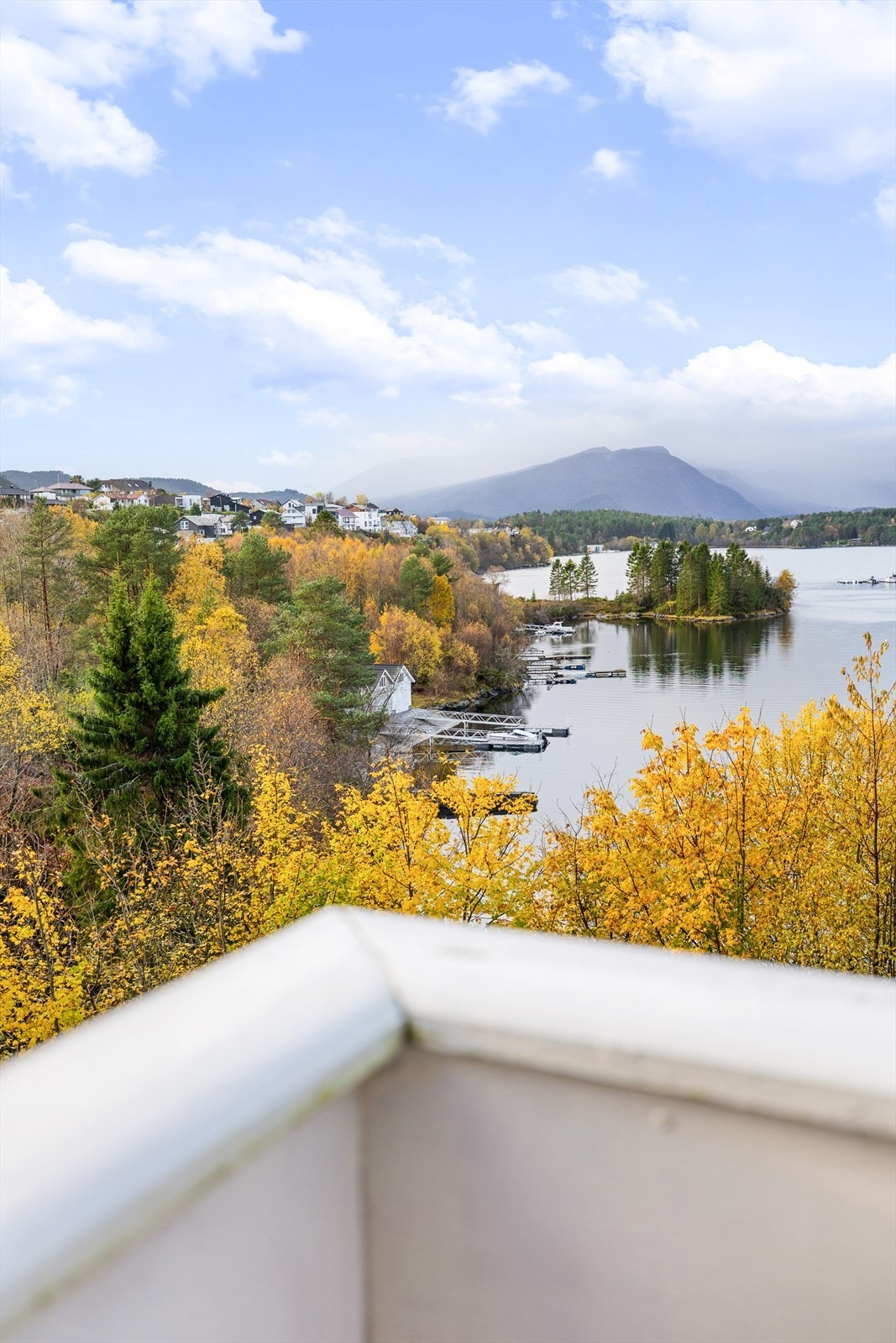 Balkong med utsikt Galleribilde