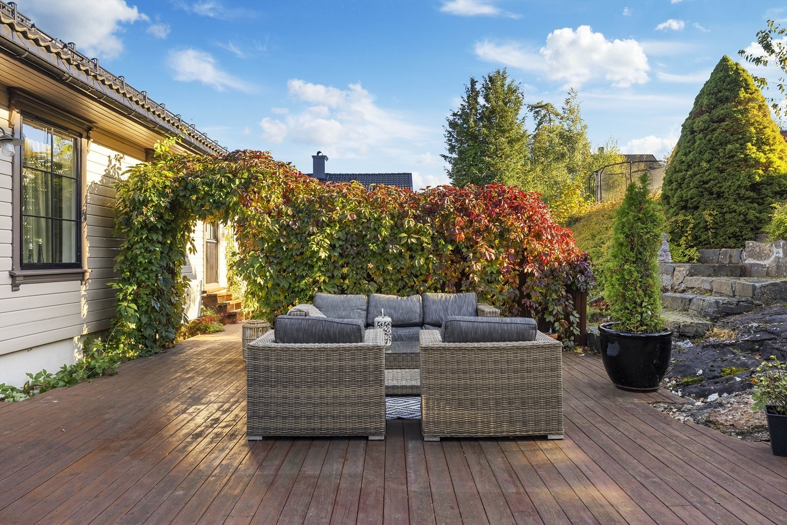 Terrasse Galleribilde