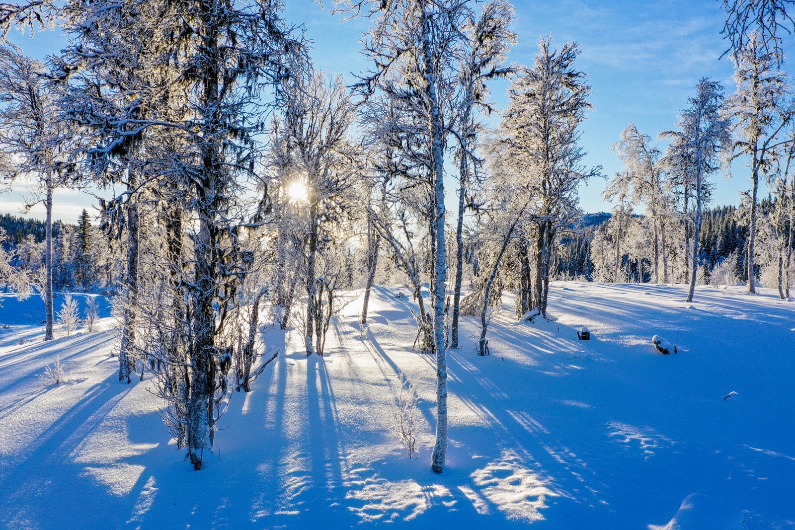 Her ligger 27 råtomter for hyttebygging Galleribilde