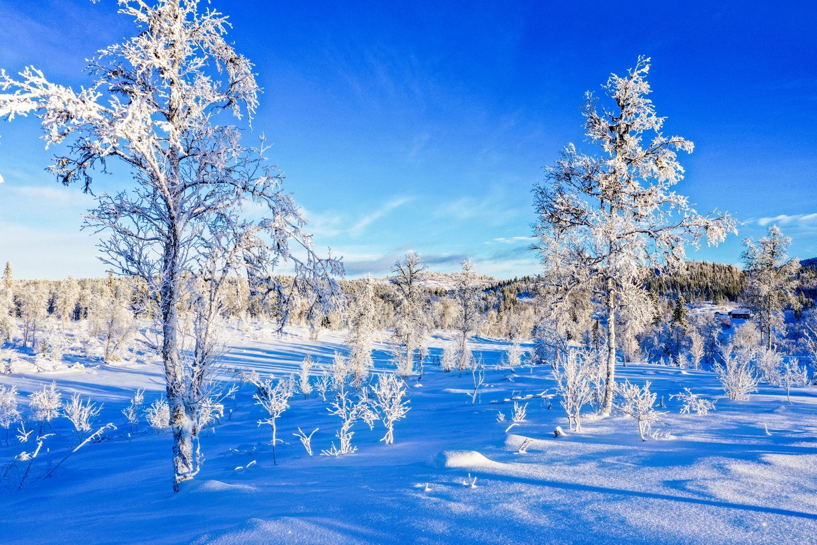 Se informasjon om infrastruktur i salgsoppgaven Galleribilde