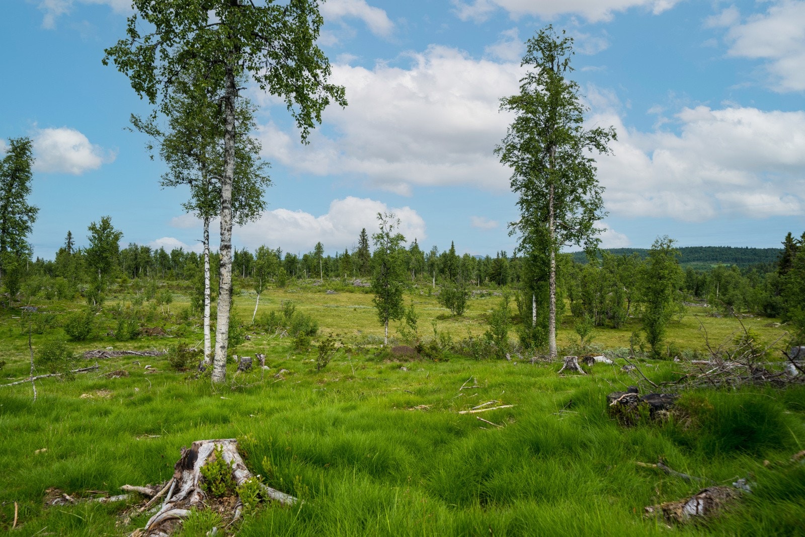 Tomteareal varierer fra ca. 1000 kvm til ca. 1900 kvm. Se plankart og prisliste for oversikt Galleribilde