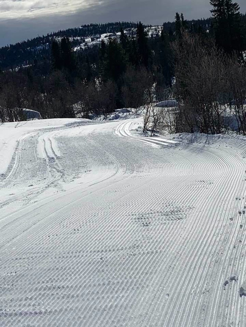 Flotte skiløyper ved innkjøringen til hyttefeltet. Det vil si bare ta på deg skiene å gå :-) Galleribilde