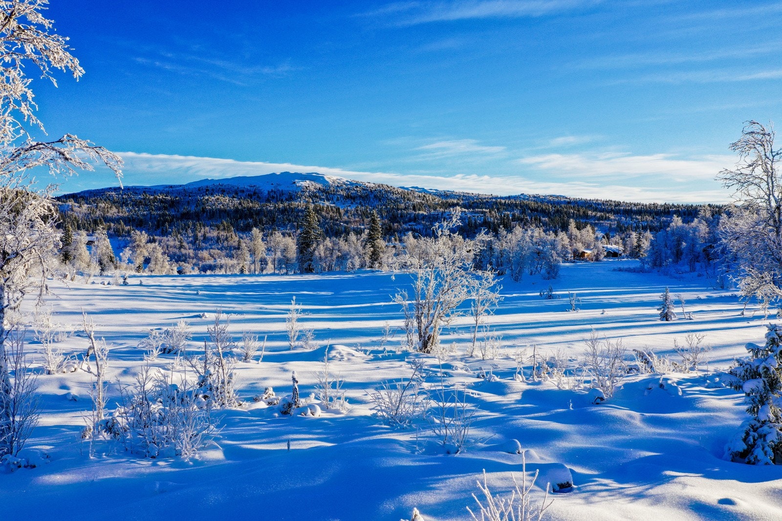 Velkommen til Bjødnalabben hyttegrend med utsikt mot Jomfruslettfjell! Foto: Fredrik Holte Breien Galleribilde