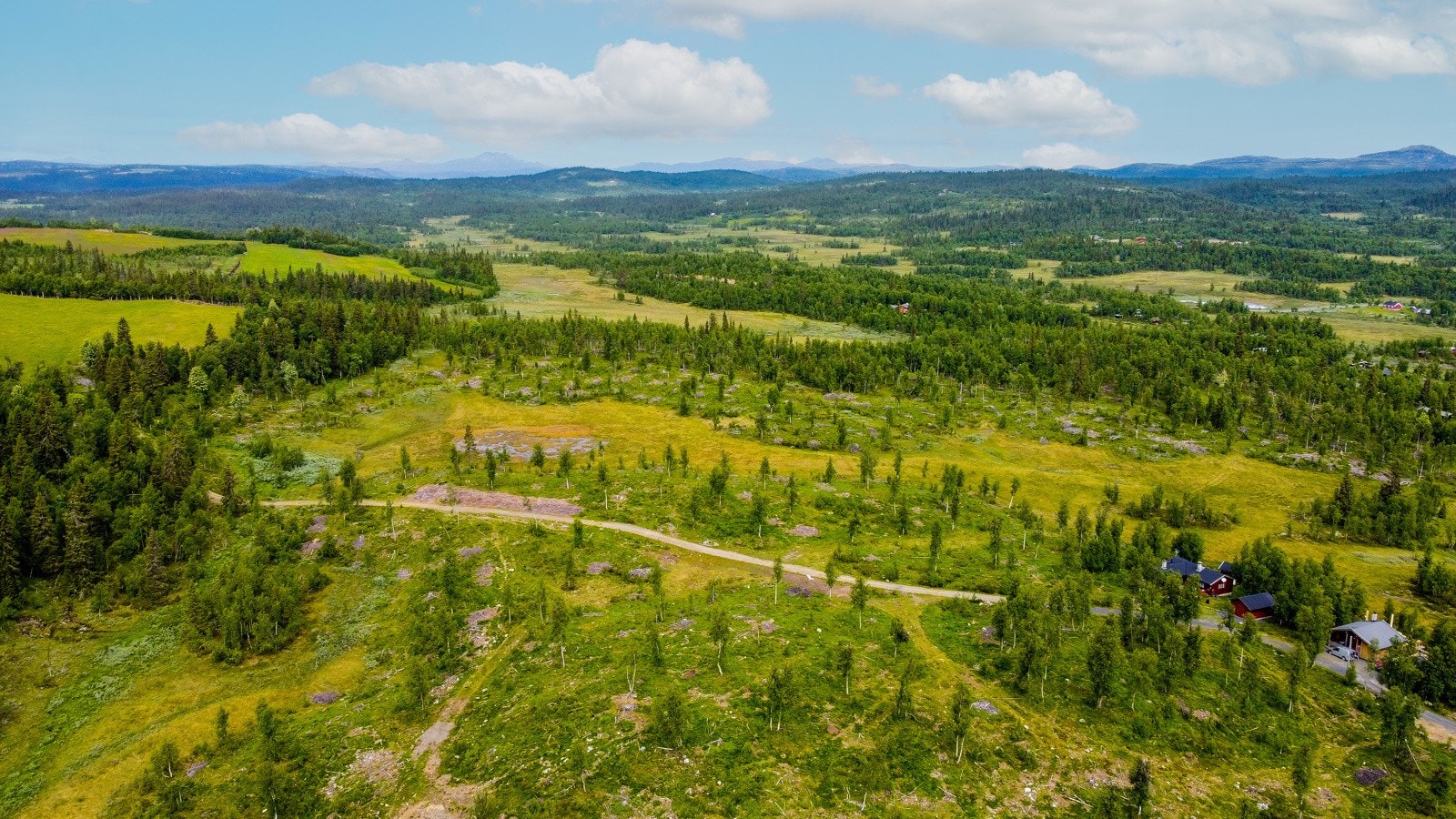 Tomtene ligger i Bjødnalabben hyttegrend, Etnedal kommune Galleribilde